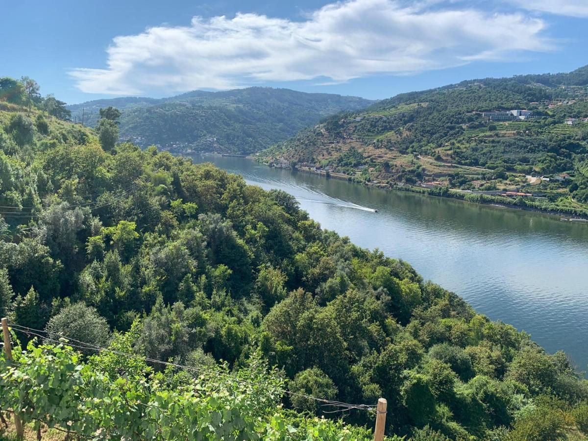 Douro Nest Houses كالداس دي أريجوس المظهر الخارجي الصورة